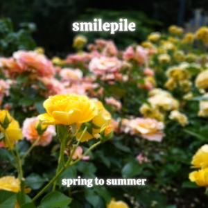 收聽smilepile的Spring to Summer歌詞歌曲