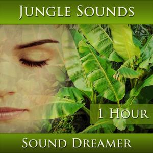 ดาวน์โหลดและฟังเพลง Jungle Sounds - 1 Hour พร้อมเนื้อเพลงจาก Sound Dreamer