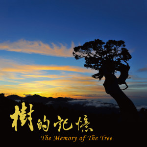 华语群星的专辑樹的記憶