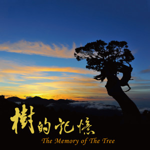 收听周志宏的水影歌词歌曲