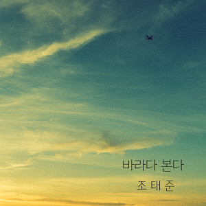 Listen to 바라다 본다 (See the sea) song with lyrics from Jo Taejun