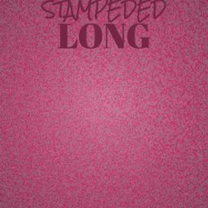 Various Artists的專輯Stampeded Long