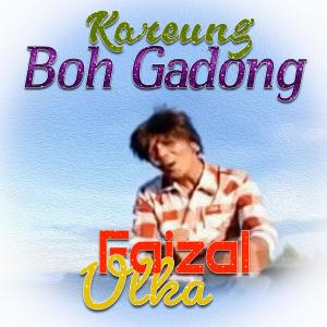 Album Kareung Boh Gadoeng from Faizal Ulka