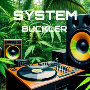 Listen to SYSTEM song with lyrics from Shield & Buckler