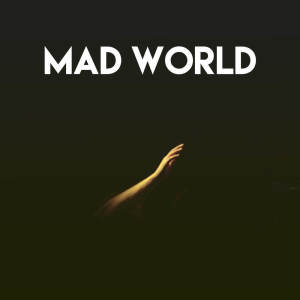 收聽Stereo Avenue的Mad World歌詞歌曲