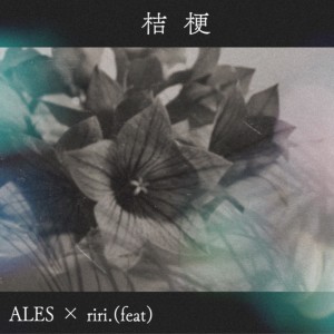 Listen to 桔梗 song with lyrics from Ales