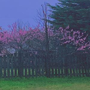 收聽Srwy Kartier的Back2Me歌詞歌曲