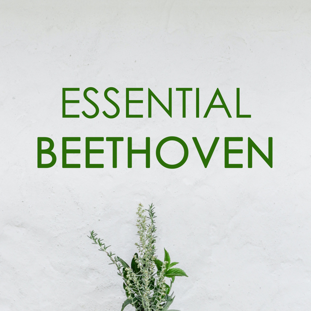 Beethoven: 25 Scottish Songs, Op. 108 - 1. Music, Love and Wine