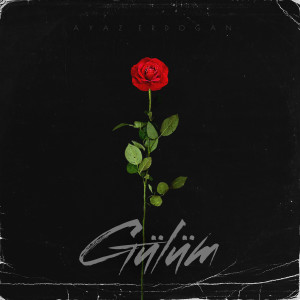 Listen to Gülüm song with lyrics from Ayaz Erdoğan