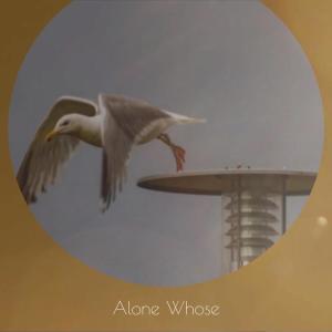 Listen to Without Feeling song with lyrics from Chie Hamo