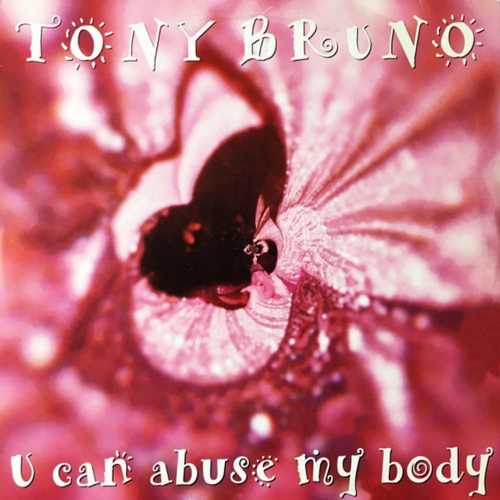 You Can Abuse My Body (Joe T Vannelli Violence Mix)