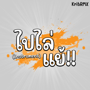 Listen to ไปไล่แย้ (Instrumental) song with lyrics from KritRMX