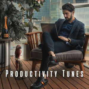 Productivity Tunes: Meditation Music for Inspired Work
