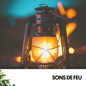 Sons De La Nature的專輯Sons de Feu : Embrasser les Flammes de la Transformation