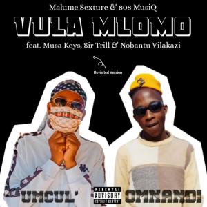 Vula Mlomo Revisit (feat. 808 MusiQ, Musa Keys, Sir Trill & Nobantu Vilakazi)
