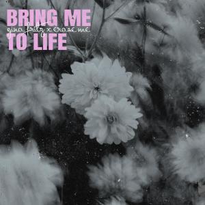 收聽Gina Fritz的Bring Me To Life歌詞歌曲