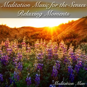 收聽Meditation Man的Relaxing Moments歌詞歌曲