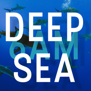 Deep Sea (Explicit)
