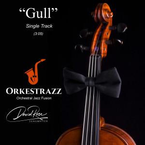David Rose的專輯Gull