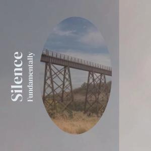 Silence Fundamentally dari Various
