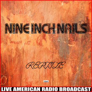 Listen to Closer (Live) song with lyrics from Nine Inch Nails