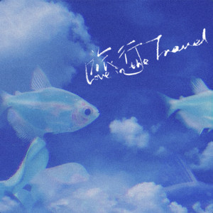 ดาวน์โหลดและฟังเพลง 旅行 (Love in the travel) พร้อมเนื้อเพลงจาก TF Family