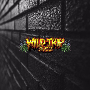Dengarkan lagu Wild Trip 2022 nyanyian DJ Black dengan lirik