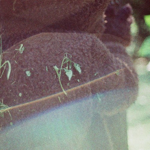 Spring Spring Spring (Instrumental)