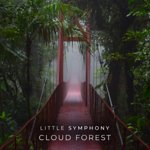 Little Symphony的專輯Cloud Forest
