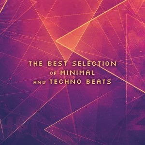 Various Artists的專輯The Best Selection of Minimal and Techno Beats