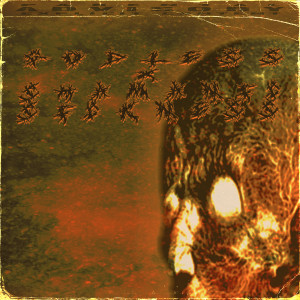 Album Nihil (Explicit) from Shamanic Sickness
