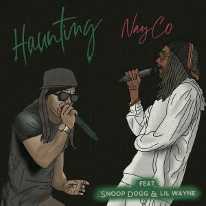Album Haunting (feat. Snoop Dogg & Lil Wayne) [NayCo Remix] (Explicit) from Morti-cole Records