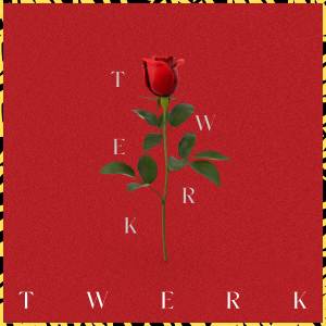 JV Marqs的專輯Twerk