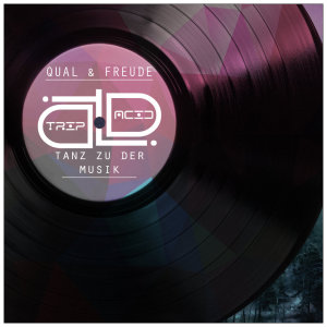 ดาวน์โหลดและฟังเพลง Tanz zu der Musik (Radio Edit) พร้อมเนื้อเพลงจาก Qual & Freude