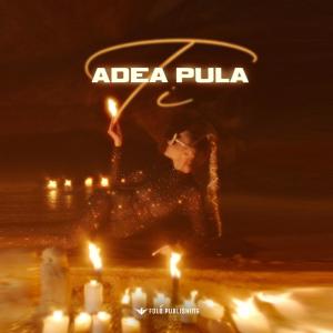 Listen to Ti song with lyrics from Adea Pula