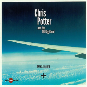 ดาวน์โหลดและฟังเพลง Narrow Road พร้อมเนื้อเพลงจาก Chris Potter