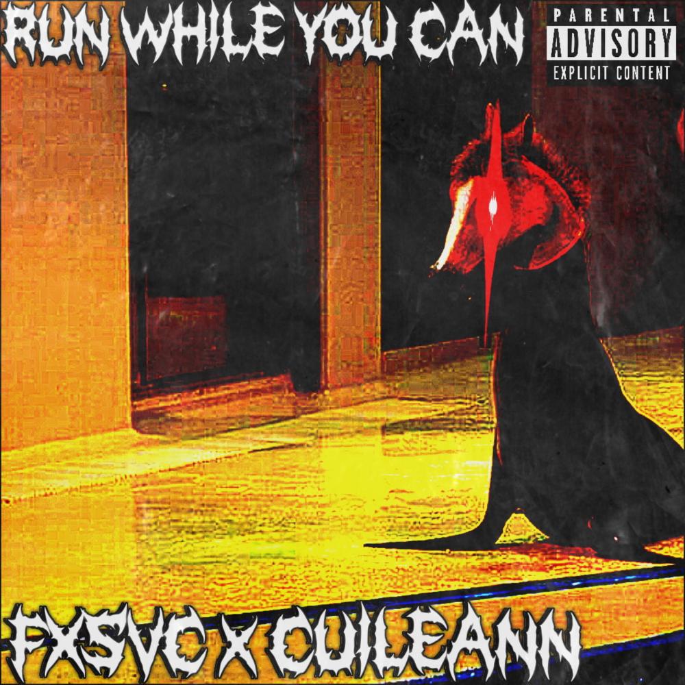 RUN WHILE YOU CAN (Explicit)