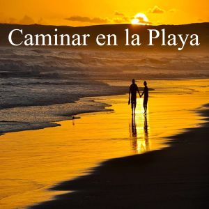 Listen to Caminar en la Playa song with lyrics from Playa