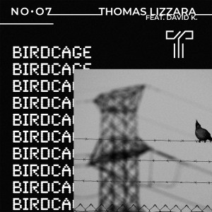 Thomas Lizzara的專輯Birdcage