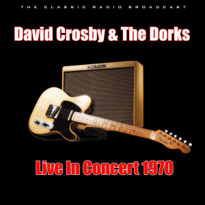ดาวน์โหลดและฟังเพลง The Wall Song พร้อมเนื้อเพลงจาก David Crosby & The Dorks