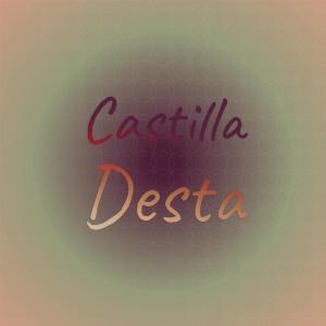 Various Artists的專輯Castilla Desta