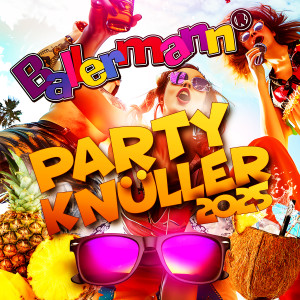 收聽Schmitti的Willst du mal dudeln mit meinem Dudelsack (Sackpfeifer Party Mix)歌詞歌曲