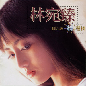 ดาวน์โหลดและฟังเพลง 请你着谅解 พร้อมเนื้อเพลงจาก 林宛臻