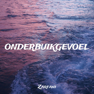 Listen to Onderbuikgevoel (Explicit) song with lyrics from Zarfani