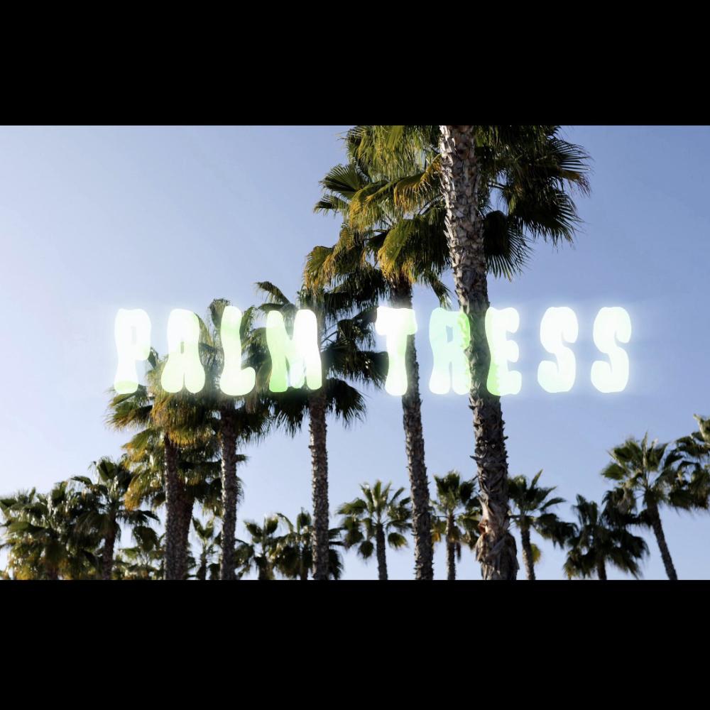 Palm Trees (feat. 2DNK) (Explicit)