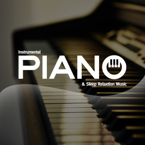 收聽Piano for Studying的Calm Piano歌詞歌曲