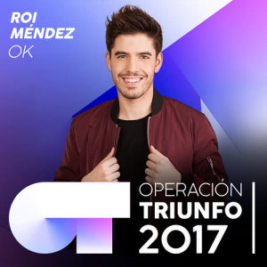 ดาวน์โหลดและฟังเพลง Versace On The Floor (Operación Triunfo 2017) พร้อมเนื้อเพลงจาก Roi
