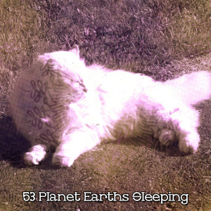 53 Planet Earths Sleeping dari White Noise