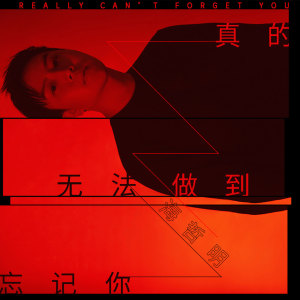 收聽海哲明的真的無法做到忘記你歌詞歌曲