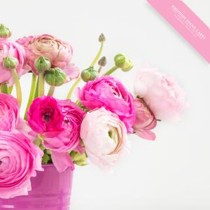 Listen to A loving garden song with lyrics from Yegam